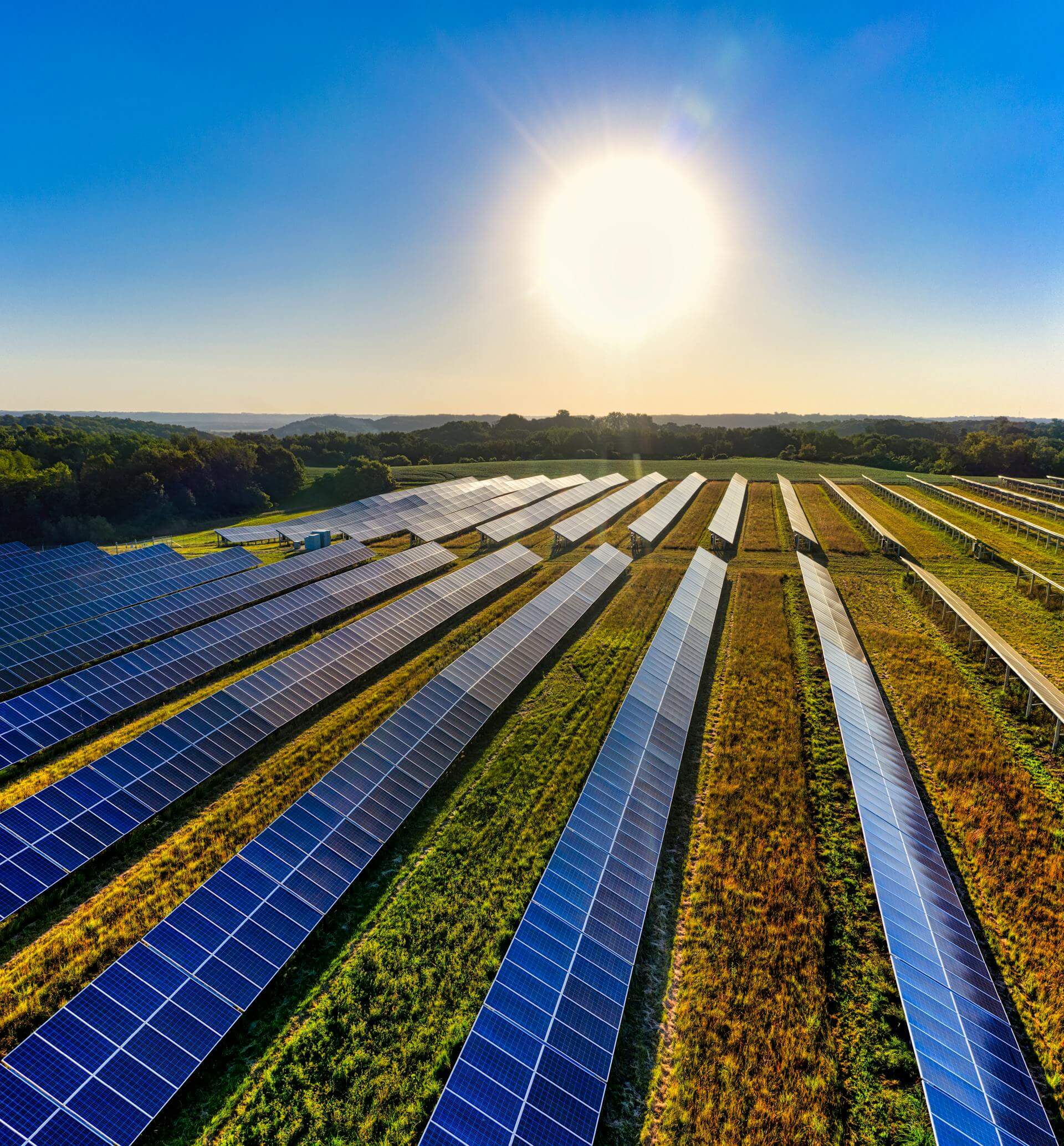 Hazon Company Solar Project